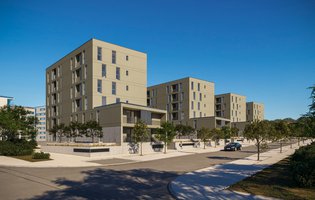 01HCC LOULE HIP03.jpg