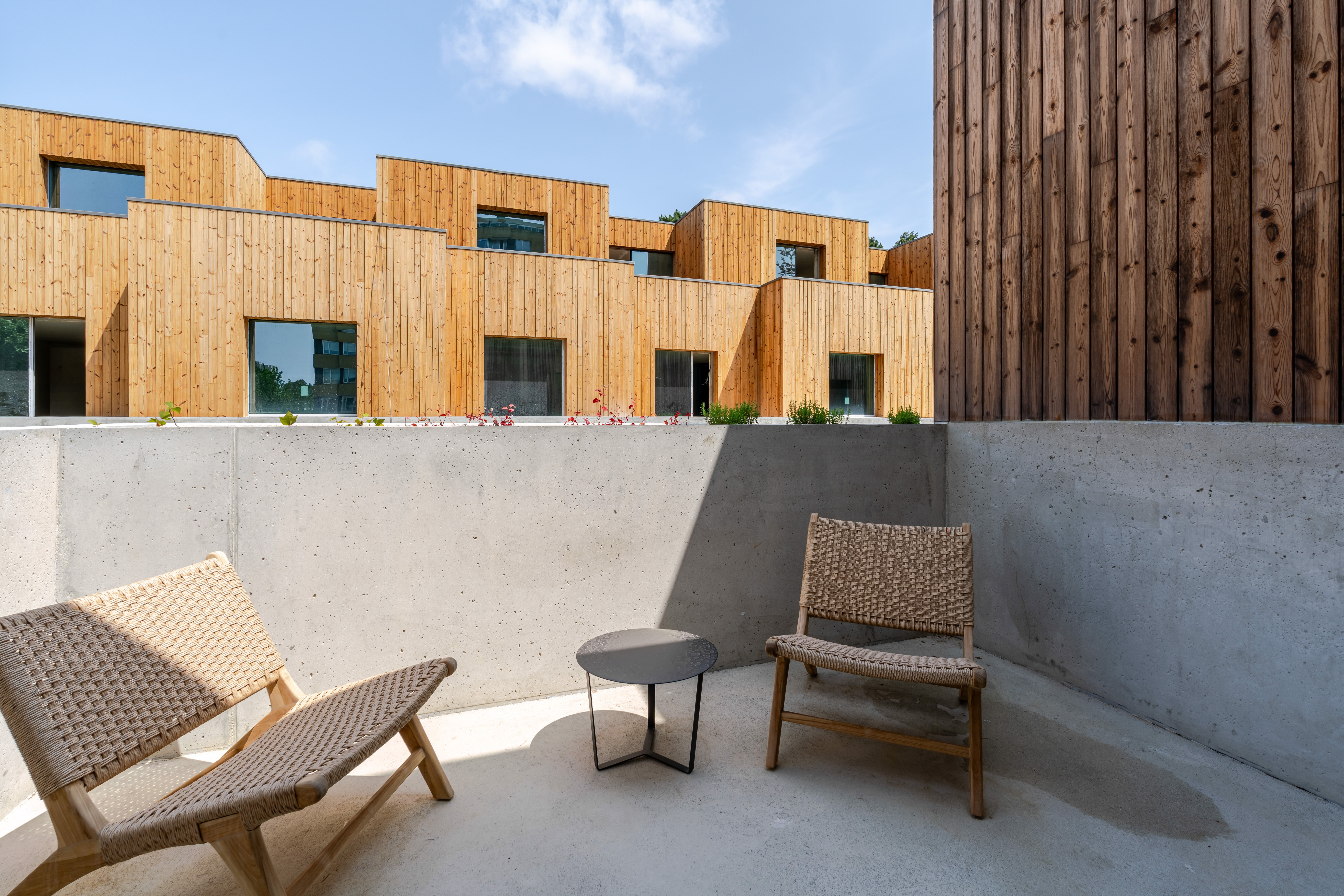 Foto 6 As Camélias: um oásis verde em contexto urbano