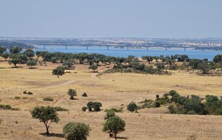 1 FOTO PAG 4 (1).jpg