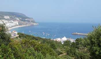 20190712_170530.jpg