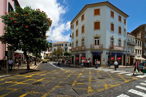 Imobiliário não residencial na Madeira ganha novo dinamismo