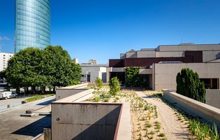 Cobertura_Verde MARIO SANTOS.JPG