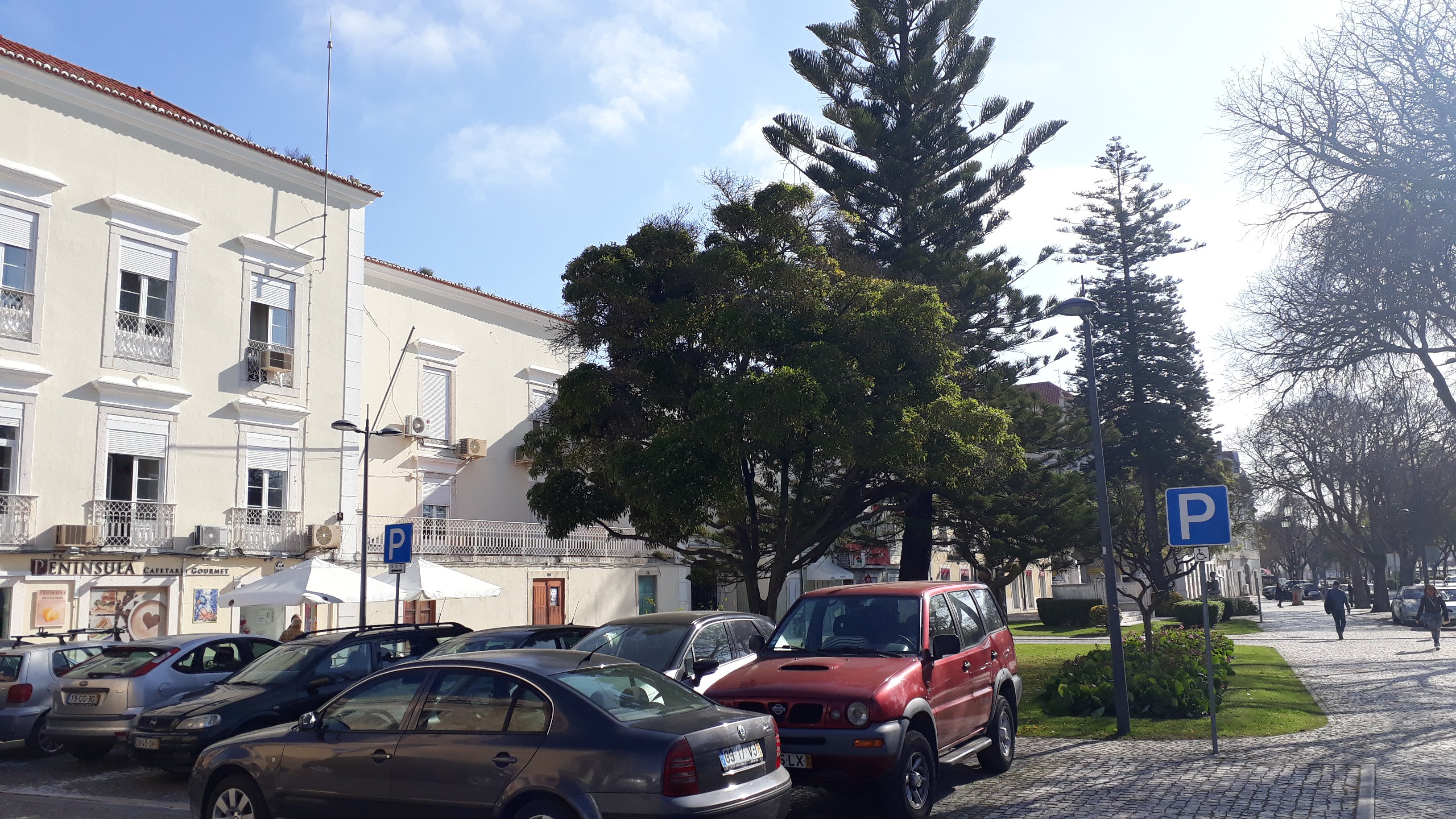 Foto 3 Edifício de comércio e serviços na Av. Luísa Todi, em Setúbal