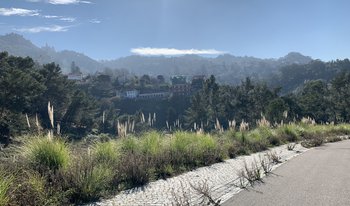 IMG_2038.JPG