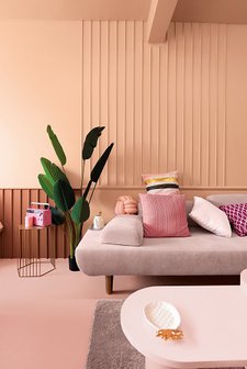 Interior Photos_ CIN_Colour Trends 2020_Pink Oyster #E735.jpg