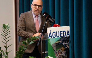 Miguel Pinto Luz.jpg