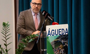 Miguel Pinto Luz.jpg