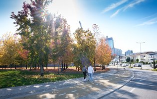 Mobilidade _Suaves_01 MARIO SANTOS.JPG