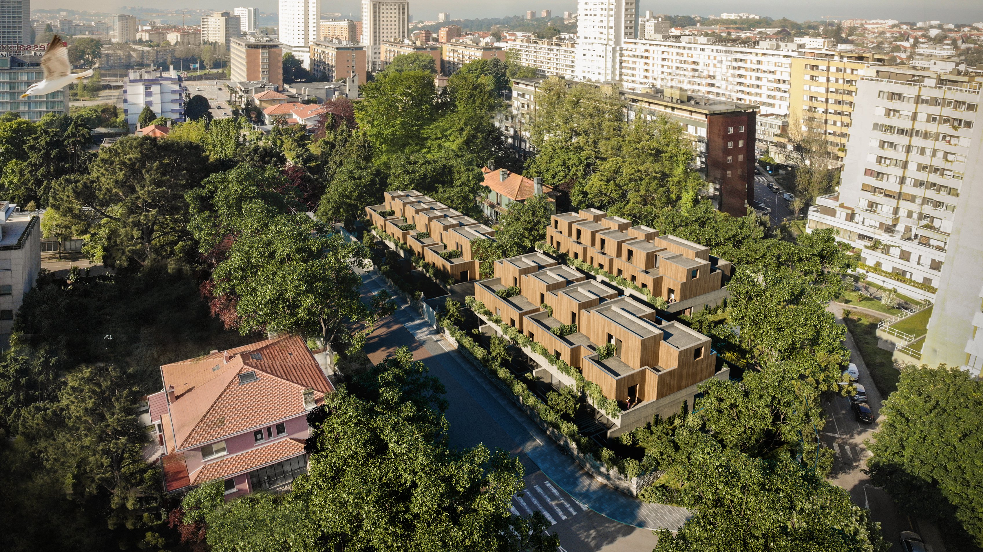 Foto 2 As Camélias: um oásis verde em contexto urbano