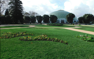 Palácio Cristal.png