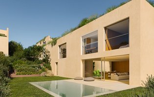 Plátanos (1).jpg
