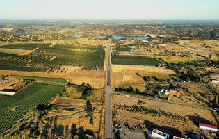 Terreno carlos-lima-vkOcyg3dpWc-unsplash.jpg