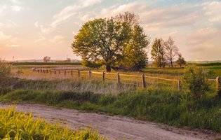 Texto principal.jpeg