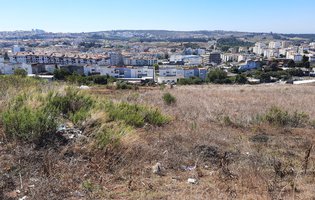 Millenium VillaFundo