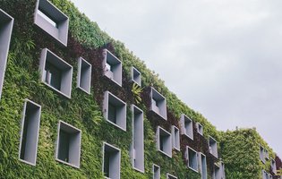 sustentabilidade edificios Futuro do imobiliário.jpeg