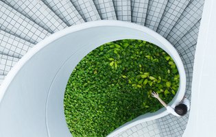 sustentabilidade escadas.jpeg