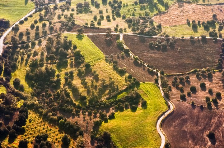 Alteração à lei dos solos vai permitir construção de habitação em terrenos rústicos